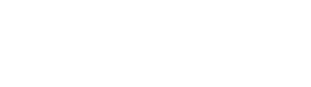 Nelsons logo